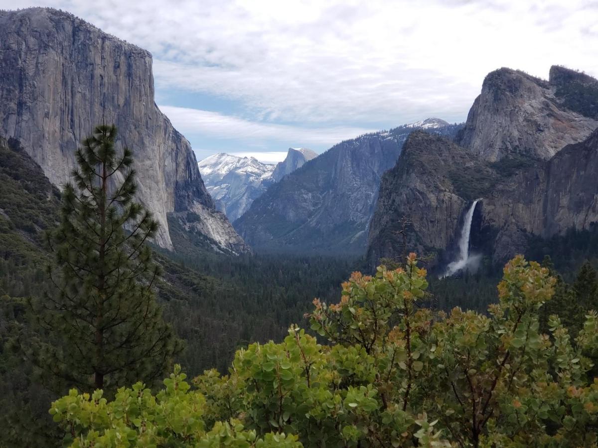 Yosemite Foothill Retreat - Private Guest Suite #2 Coarsegold Eksteriør bilde